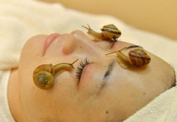 最奇的美容服务,俄罗斯蜗牛美容脸上爬行5分钟收费100美元