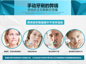 博皓充电旋转式电动牙刷成人 自动牙刷美白 2205价格 厂家 图片
